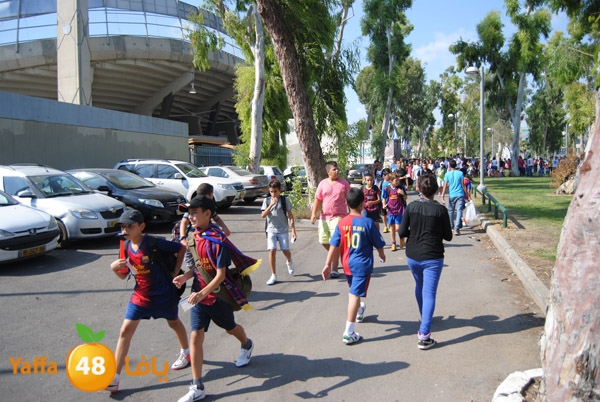 blomfeiled 803 (7).JPG